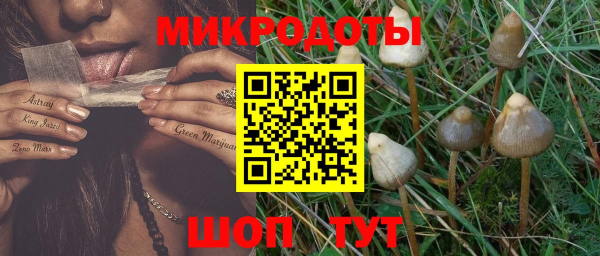 Гулькевичи  Галлюциногенные грибы прущие грибы  Вход с VPN  Галлюциногенные грибы MAGIC MUSHROOMS 