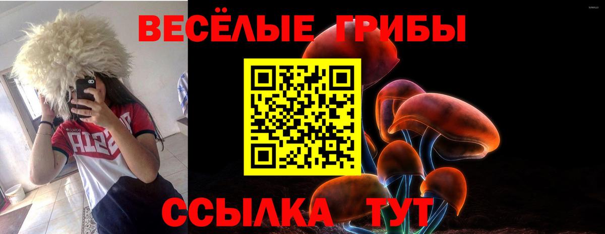 Галлюциногенные грибы MAGIC MUSHROOMS Гулькевичи